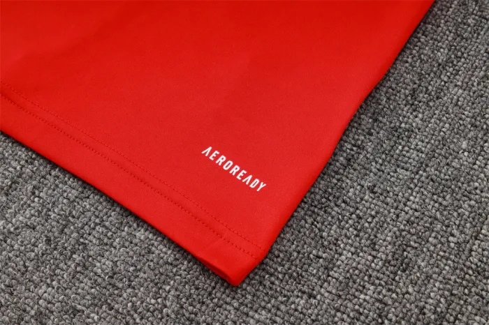 Internacional  Training Short sleeve Jersey 24/25