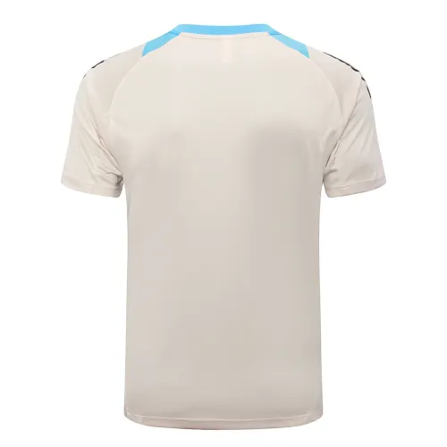 Argentina Training Short sleeve Jersey  24/25