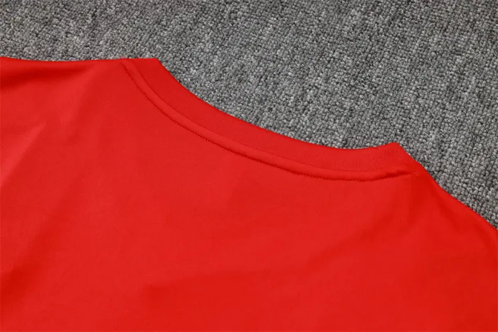 Internacional  Training Short sleeve Jersey 24/25