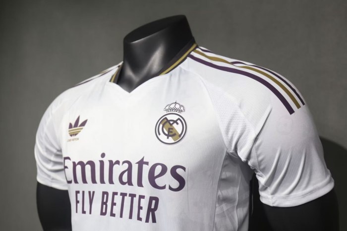 Real Madrid Special Player Jersey 24/25