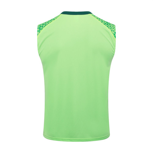 Palmeiras Training Jersey 24/25