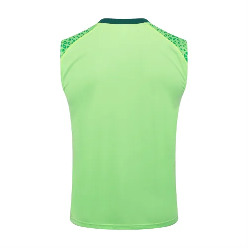 Palmeiras Training Jersey 24/25