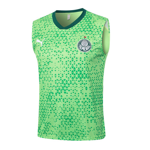 Palmeiras Training Jersey 24/25