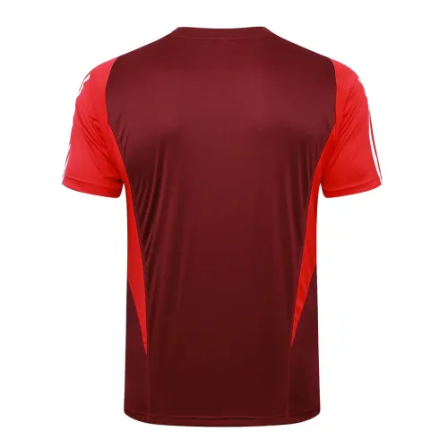 Internacional  Training Short sleeve Jersey 24/25
