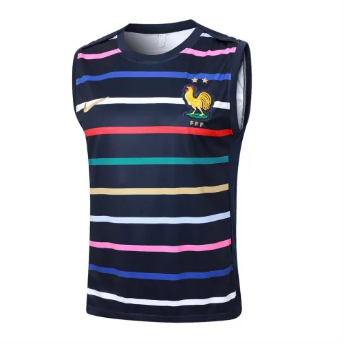 France Training Jersey 24/25