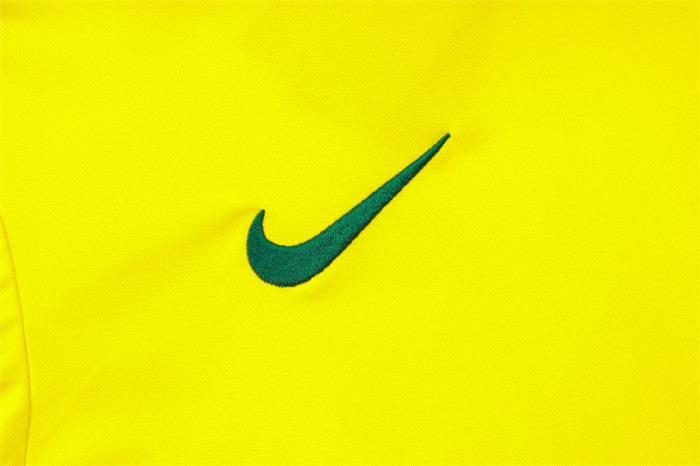 Brazil Training Short sleeve Jersey 24/25