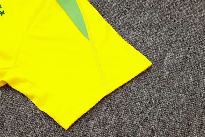 Brazil Training Short sleeve Jersey 24/25