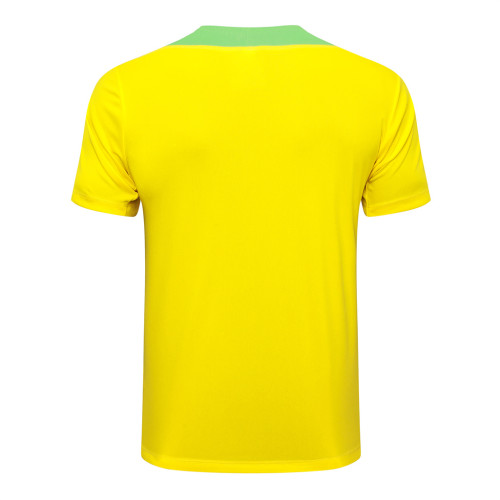 Brazil Training Short sleeve Jersey 24/25
