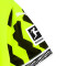 Bundesliga
