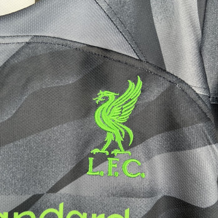 Liverpool Kids Goalkeeper Jersey 23/24 Gray
