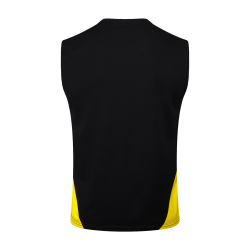 Borussia Dortmund Training Jersey 23/24