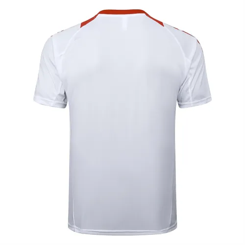 Internacional  Training Short sleeve Jersey 24/25