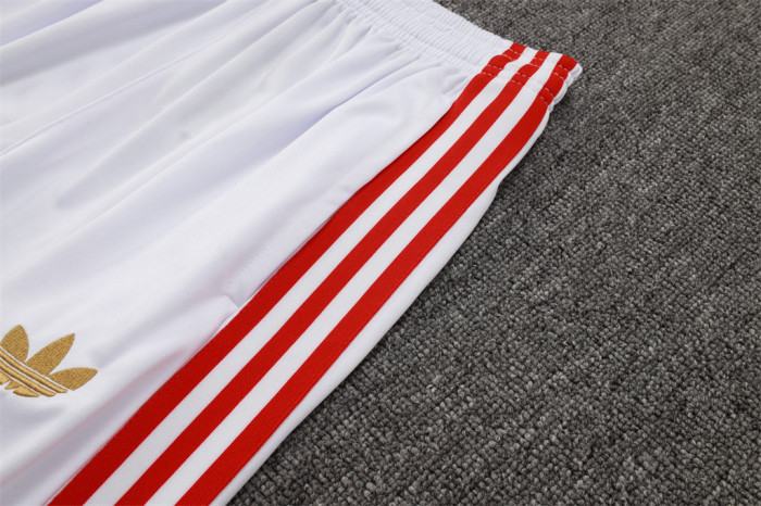 Bayern Munich Training Jersey Suit 25/26