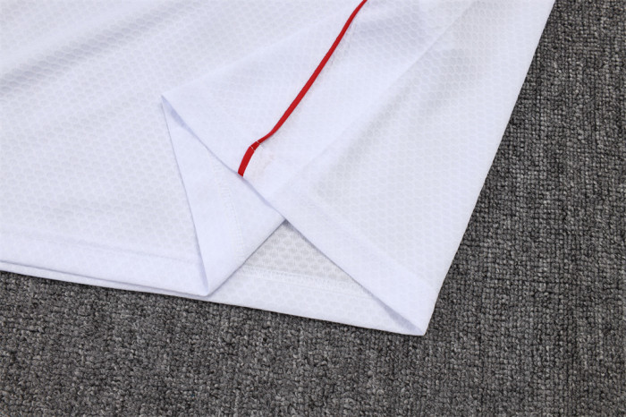 Ajax POLO Jersey 25/26