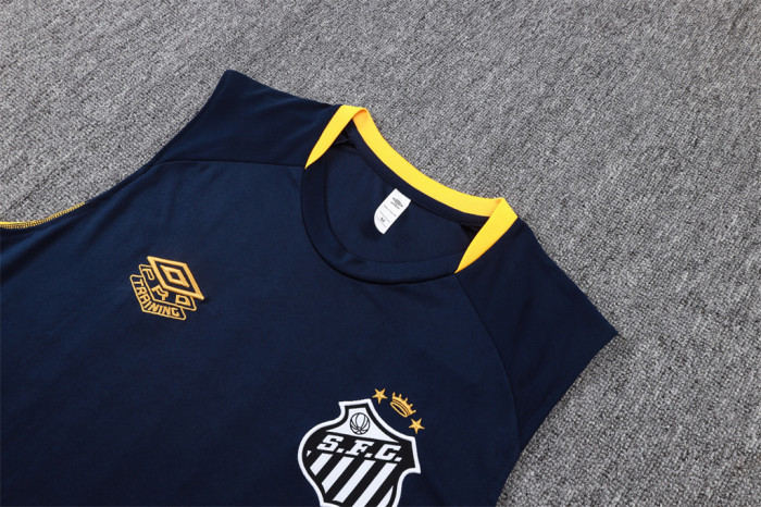 Santos Training Jersey 24/25
