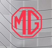 Lyon Third Men Player Jersey 25/26