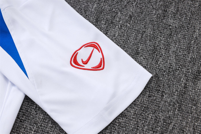 Paris Saint Germain Training Short sleeve Jersey 25/26