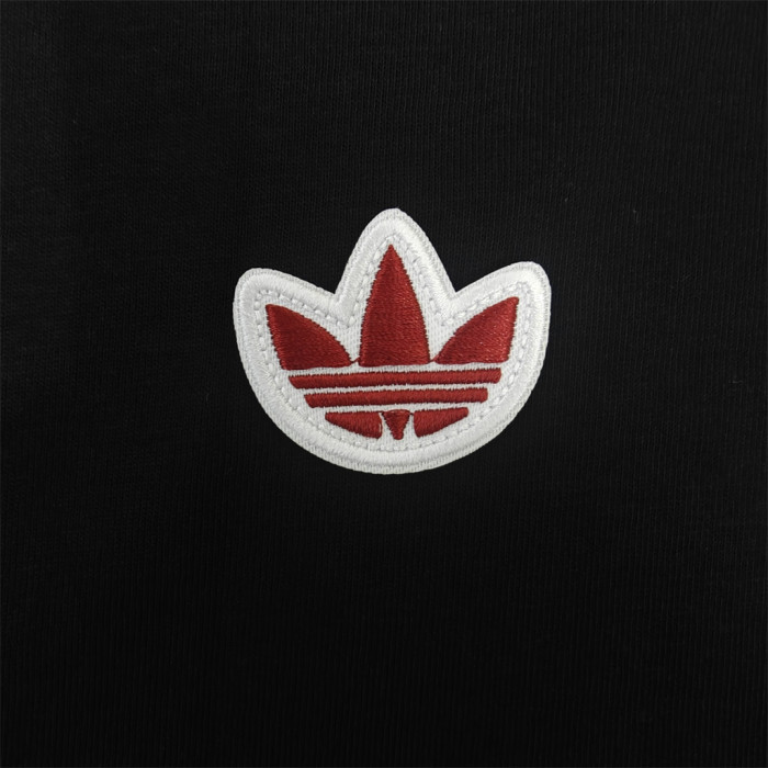 Aston Villa Hoodie Sweatshirt Training Jersey 25/26 (Multiple colors)