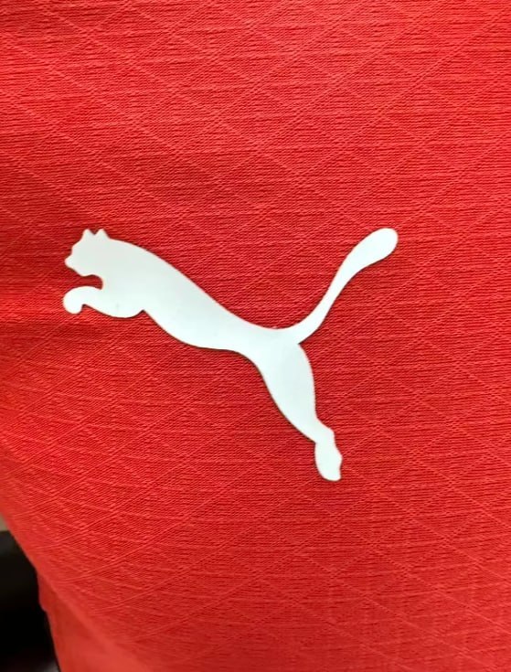 Austria 2026 World Cup Home Player Men Jersey