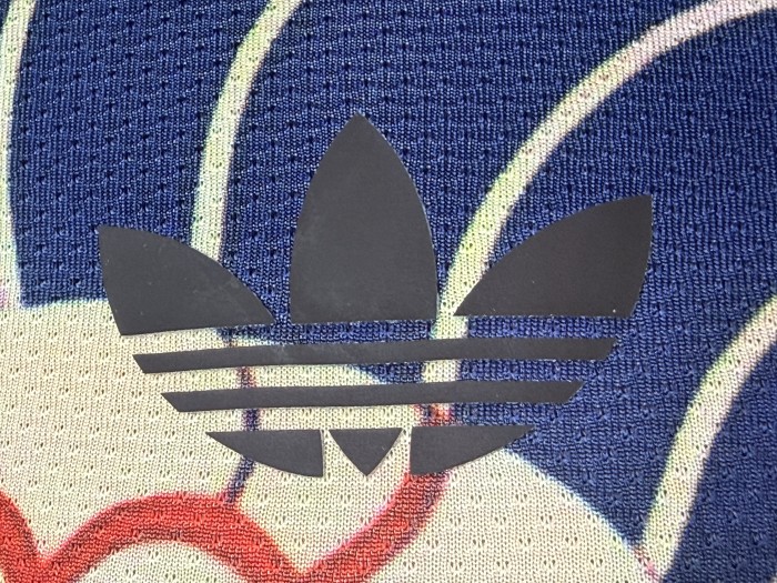Japan 2026 Special Edition Player Version Men Jersey