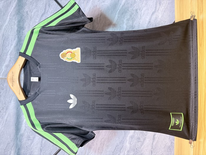 Mexico 2026 Special Edition Men Player Jersey