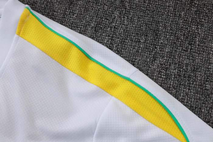 Brazil Training Short sleeve Jersey 26/27