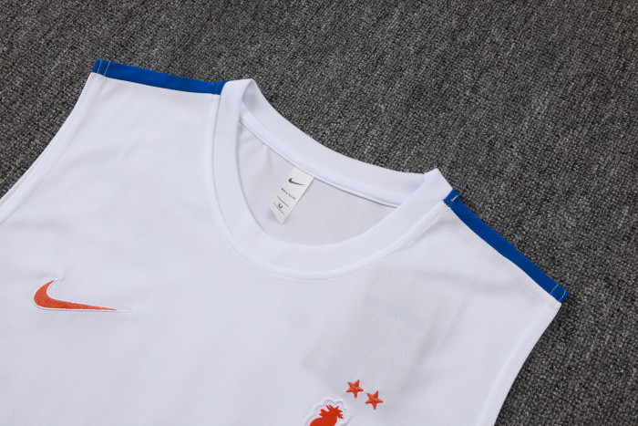 France Training Jersey 26/27