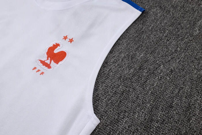 France Training Jersey 26/27