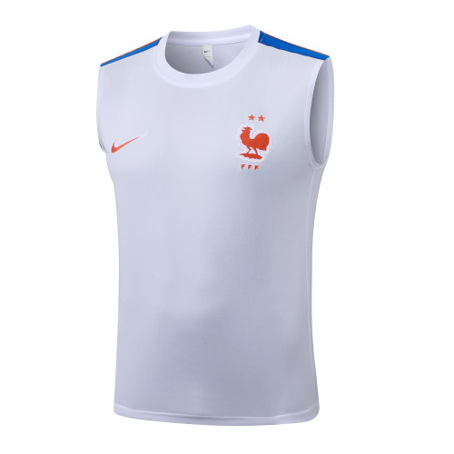 France Training Jersey 26/27