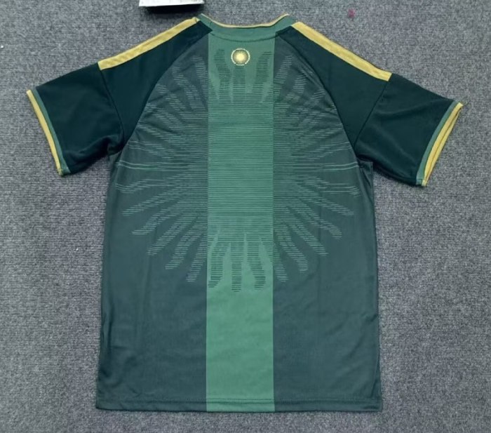 Argentina Messi 2026 Commemorative Edition Men Jersey