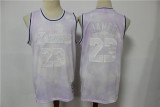 NBA  L.A. 23 light purple split print limited edition Jersey