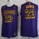 NBA New Laker (city version) 23 James purple