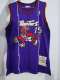 NBA Mitchell & Ness Raptors 15 dragons purple