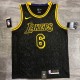 Laker's Retro Black  6 James  snake pattern  NBA Jerseys