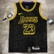 Laker's Retro Black  23 James  snake pattern  NBA Jerseys