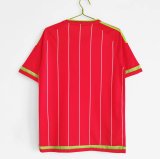 Retro 2015-2016 Wales Home  1:1 Quality Soccer Jersey