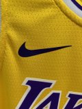 NBA Laker  yellow Davis  No.3   1:1