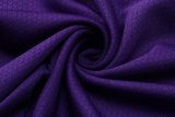 NBA Laker purple  James No.23 1:1