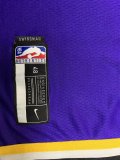 NBA Laker purple  James No.23 1:1