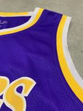NBA Laker purple  Davis No.3 1:1