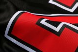 NBA Bulls Jordan No.23  1:1