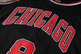 NBA Bulls Lavine No.8 1:1