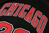 NBA Bulls Jordan No.23  1:1