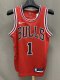 NBA Bulls 【customized】Rose No.1  1:1