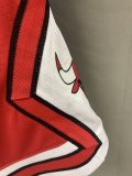 NBA Bulls Hot pressing Shorts 1:1