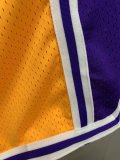 NBA Lakers Embroidered Shorts 1:1