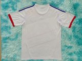 Retro Lyon Home Fans   1:1 Quality Soccer Jersey   2012-2013