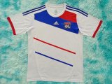 Retro Lyon Home Fans   1:1 Quality Soccer Jersey   2012-2013