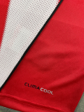 Retro Bayern Munich Home  1:1 Quality Soccer Jersey   2010-2011