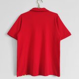 Retro Wales Home 1:1 Quality Soccer Jersey  1976-1979